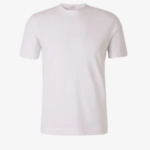 Camiseta Lisa Algodón