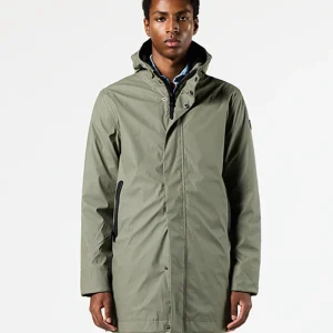 Monetine mulled basil