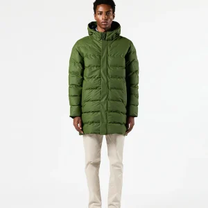 Pluma Bagyo Bronze green