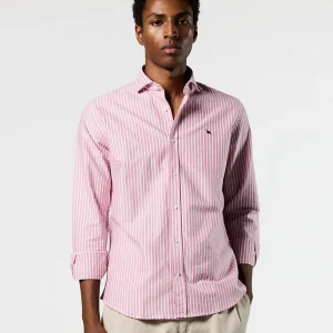 Camisa Italia oxford burdeos raya blanca