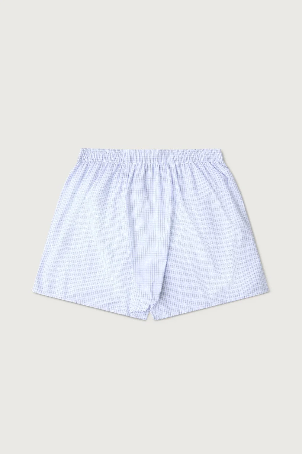 The Boxer Cuadro Celeste Fondo Blanco - Imagen 3