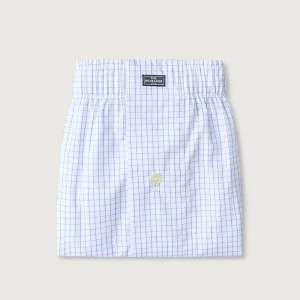 The Boxer Cuadro Celeste Fondo Blanco