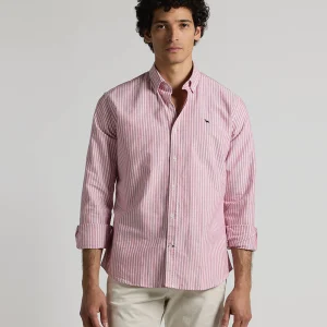Camisa oxford burdeos raya blanca