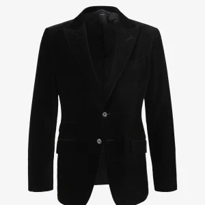 Americana Atticus Terciopelo