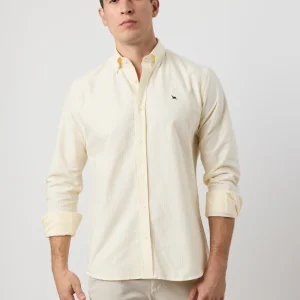 Camisa oxford rayas anchas amarillas