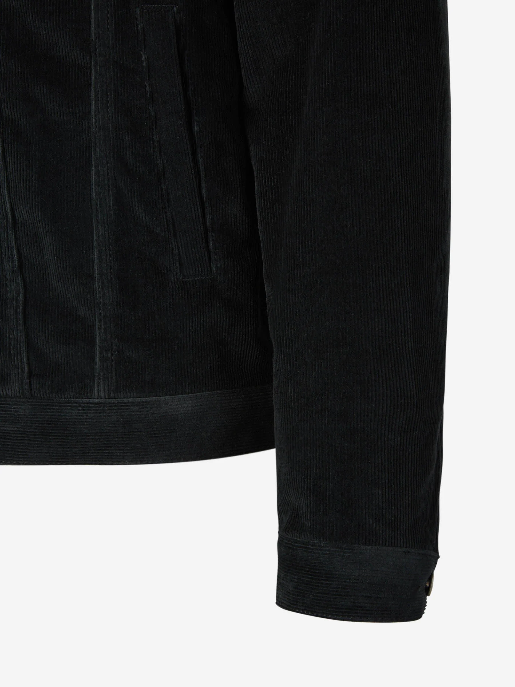 Cazadora Pana Algodón - Imagen 3