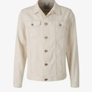 Cazadora Denim Algodón