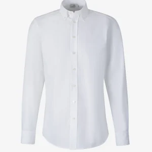 Camisa Lisa Algodón