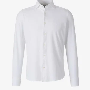 Camisa Lisa Algodón