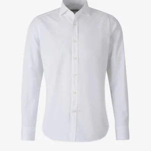 Camisa Lisa Algodón