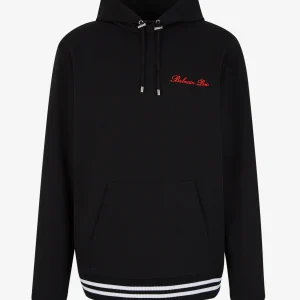 Sudadera Capucha Logo