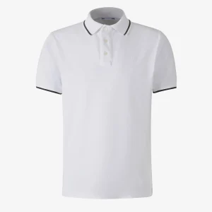 Polo Logo Algodón