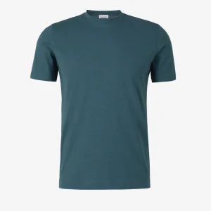 Camiseta Lisa Algodón