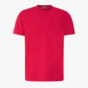 Camiseta Lisa Algodón