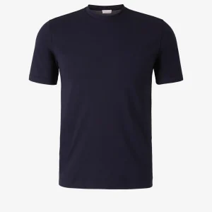 Camiseta Lisa Algodón