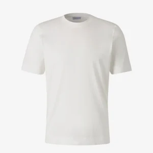 Camisetas Lisa Algodón