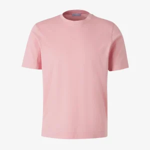 Camisetas Lisa Algodón