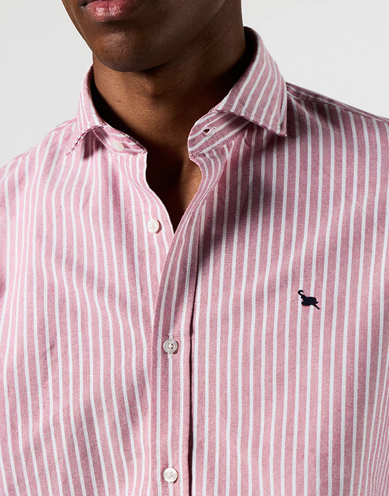 Camisa Italia oxford burdeos raya blanca - Imagen 5