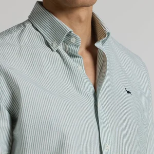 Camisa oxford rayas verde button down
