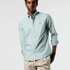 Camisa oxford verde raya blanca