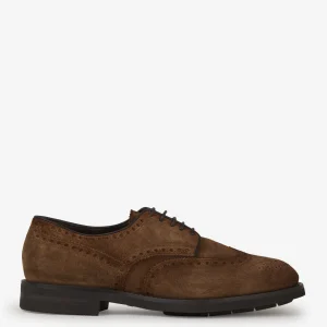 Zapatos Derby Brogue