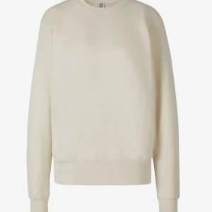 Sudadera Punto Algodón