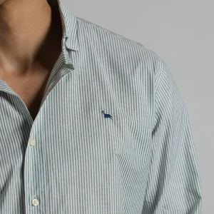 Camisa oxford casual rayas verde