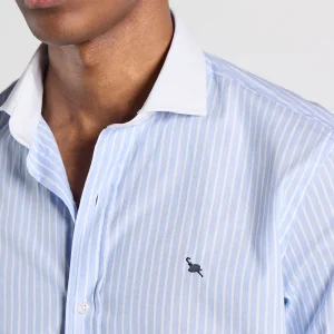 Camisa azul raya blanca cuello y puño blanco