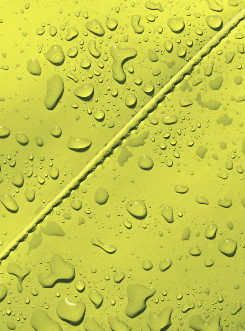 Riñonera Jona medium bag - acid lime - Imagen 4