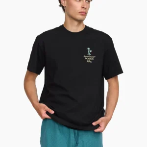 Camiseta Boards and Fins - black