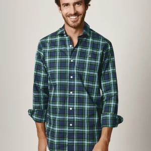 The Scot Cuadro Verde y Amarillo Fondo Azul Marino