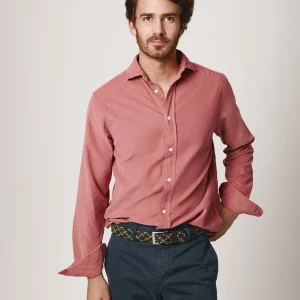 The Micropana Rosa Timanfaya