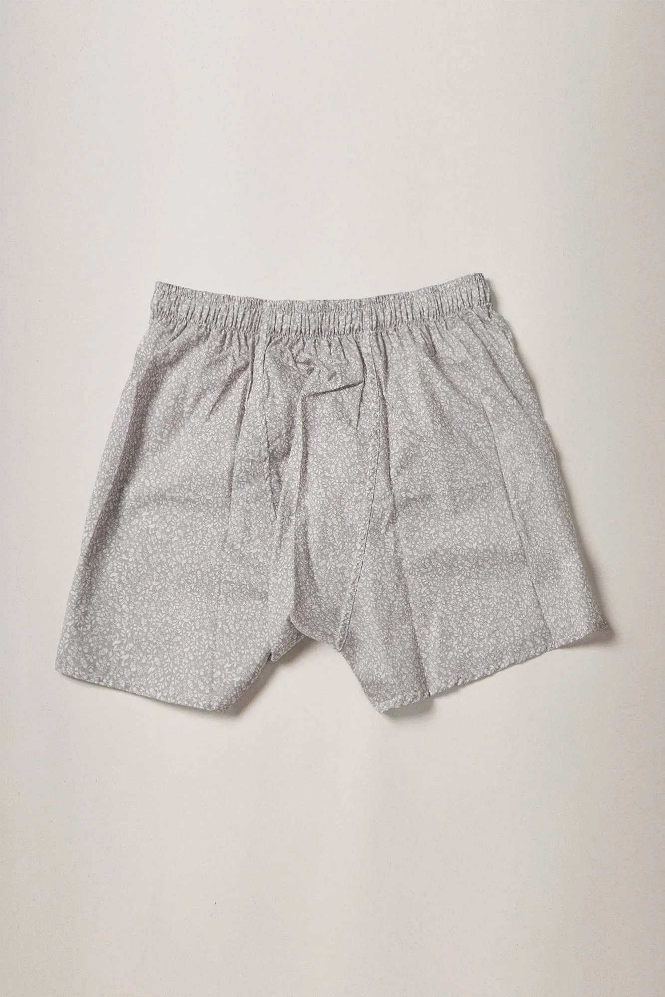 The Boxer Bosque Gris - Imagen 3