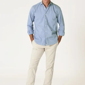 The Sarga Azul Calima