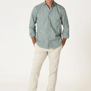 The Sarga Verde Santander