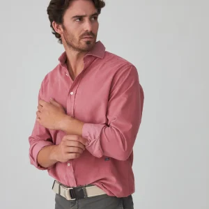 The Micropana Rosa Haro