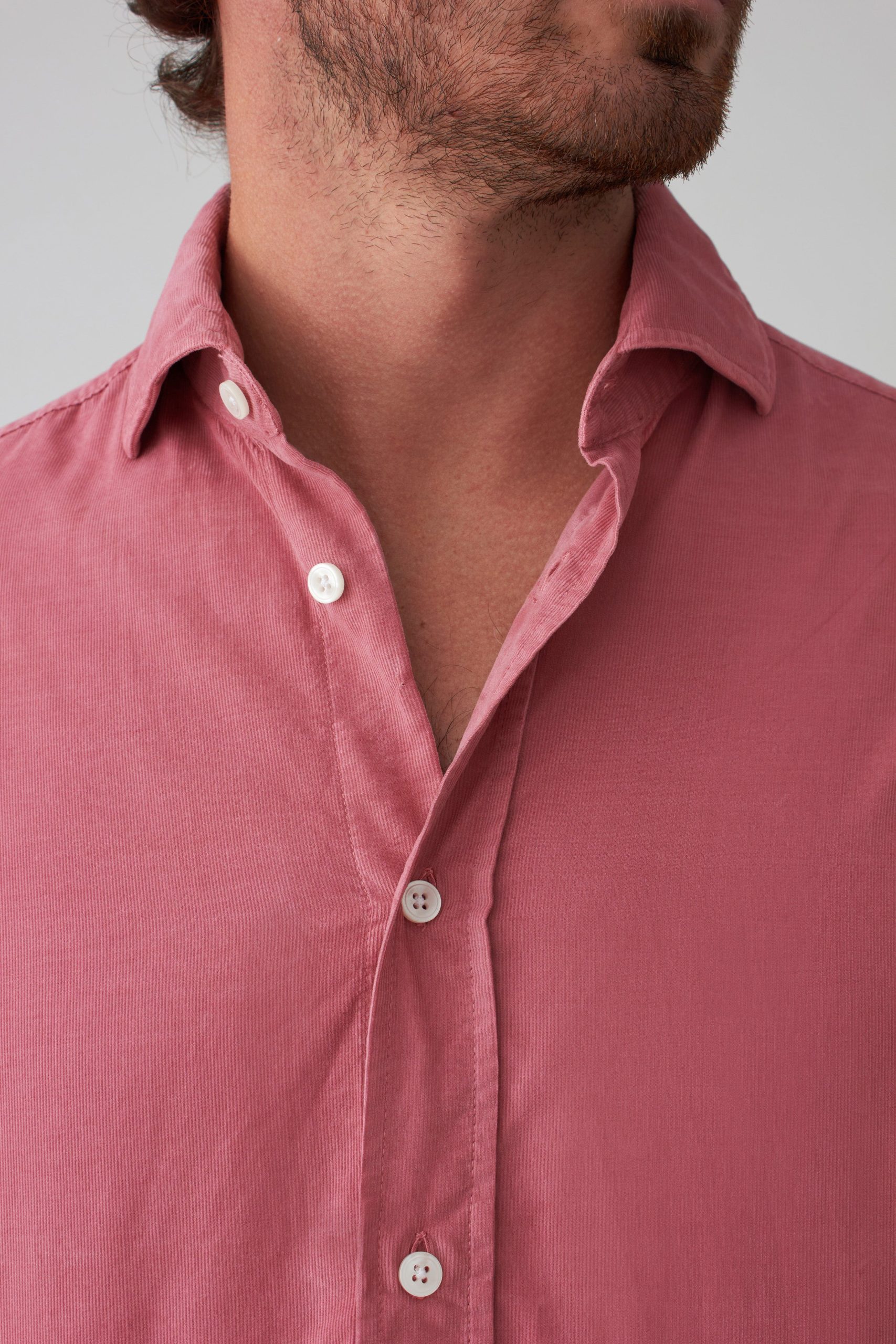 The Micropana Rosa Haro - Imagen 3