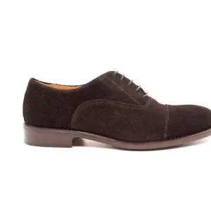 The Oxford Brown Suede