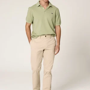 The Chino Beige Seimeira